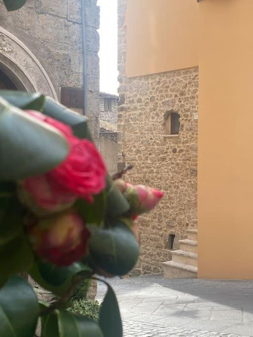 Il Nido Dell'Arte Daire Anagni Dış mekan fotoğraf