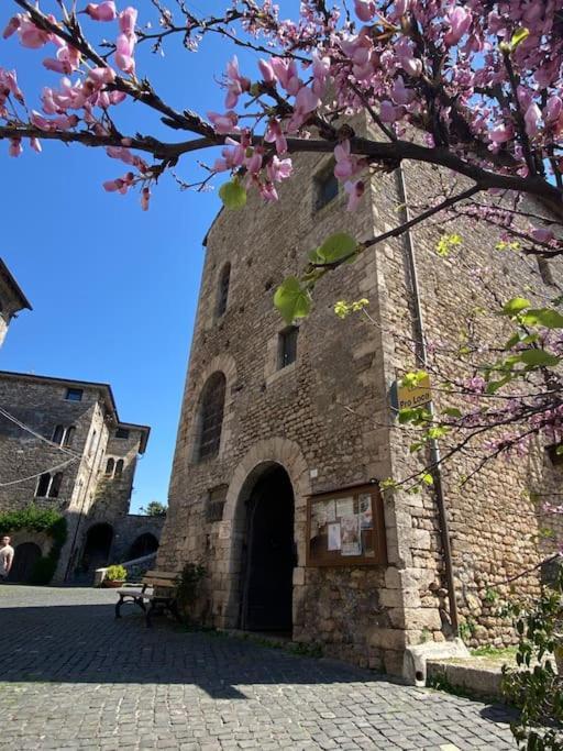 Il Nido Dell'Arte Daire Anagni Dış mekan fotoğraf